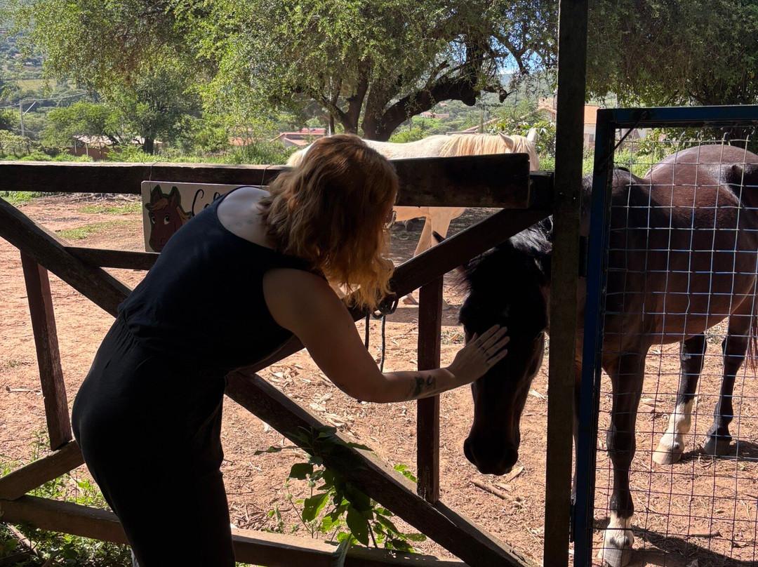 Refugio Zoologico-Samaipata必去景点