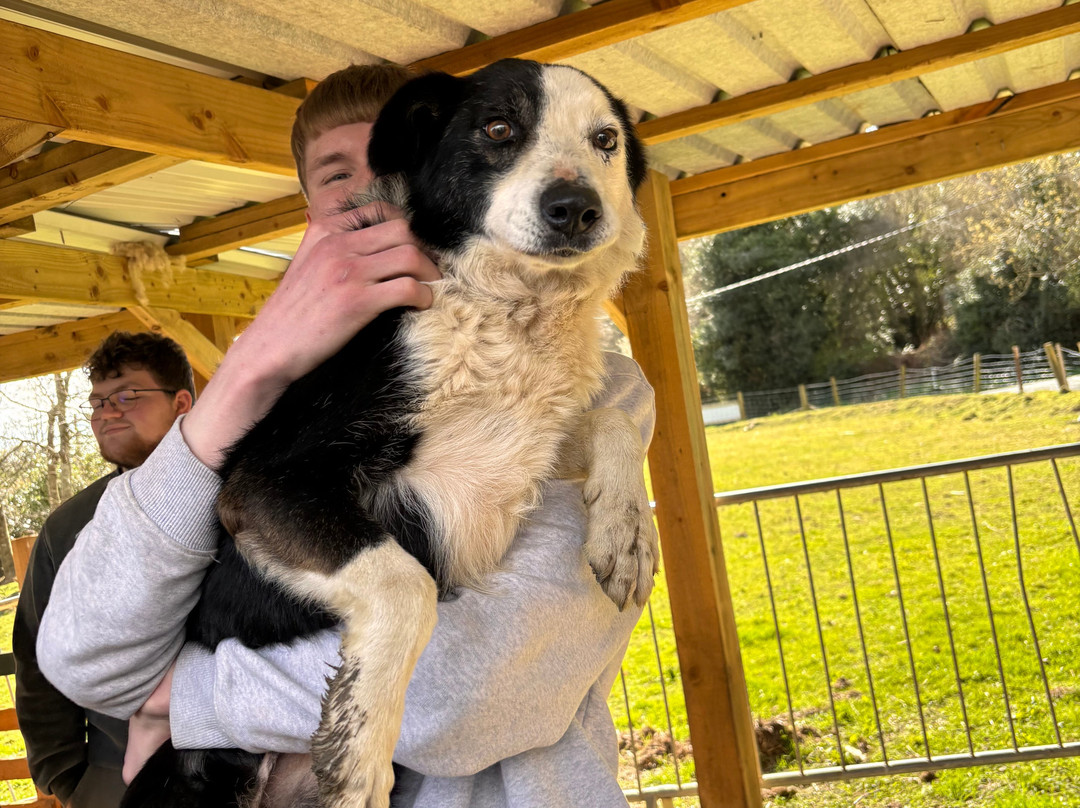 Sheep Smarts-Rathdrum必去景点