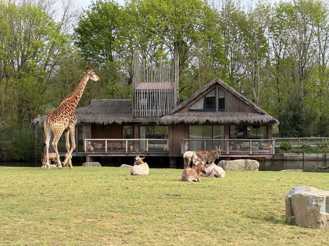Planète Sauvage-Port-Saint-Pere必去景点