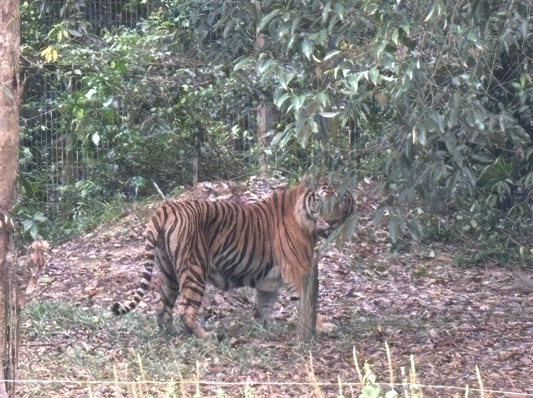 珍珠王国野生动物园-富国岛必去景点