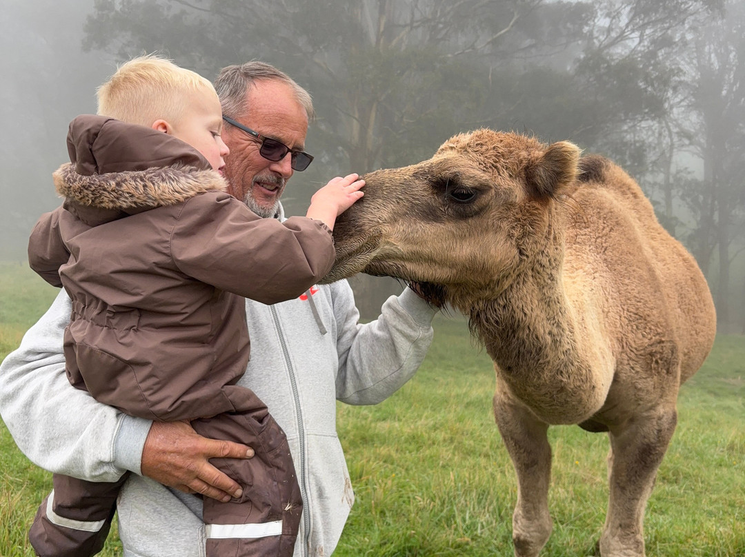 Kenzell Farm-Oberon必去景点