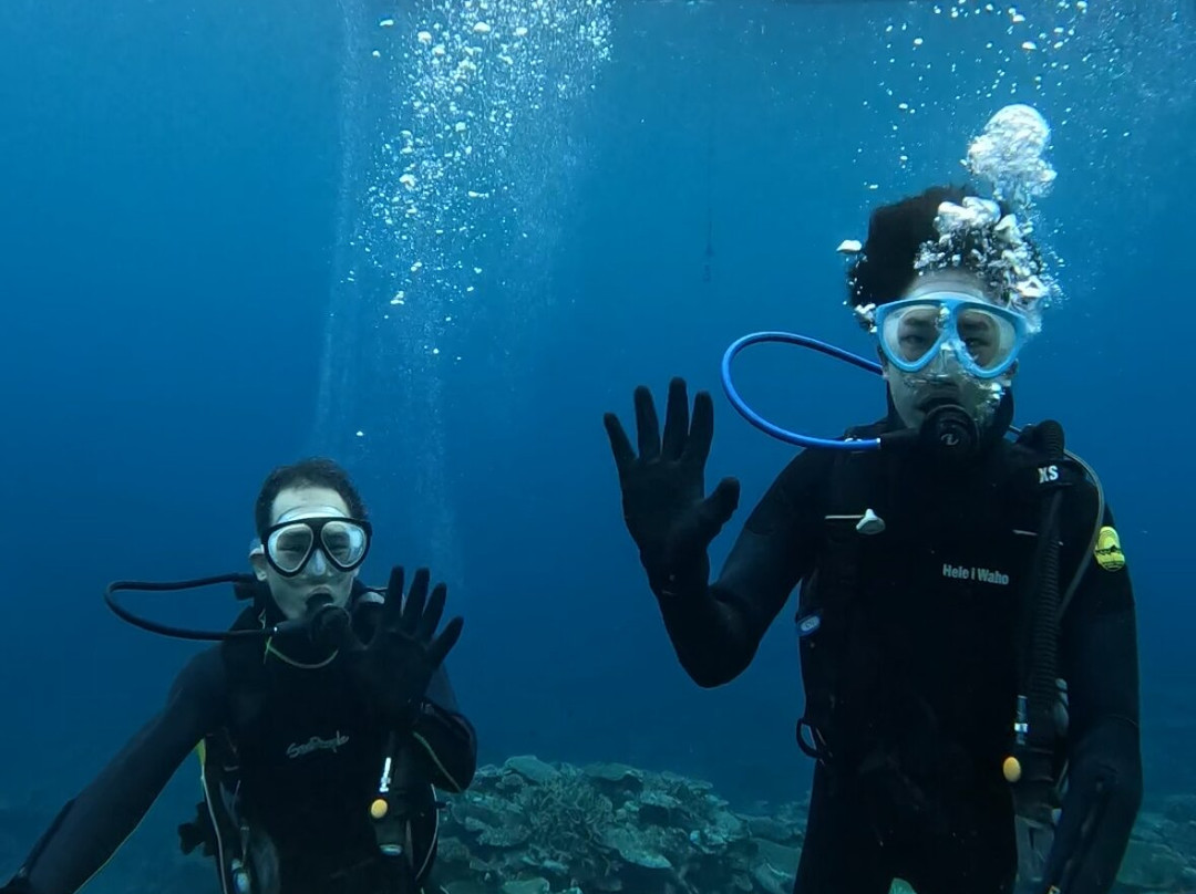 Miyakojima Diving Shop Guide-Ya-San-宫古岛市必去景点