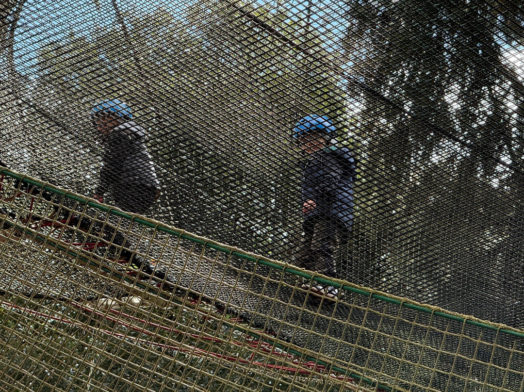 Parcallario Adventure Park into the Monti Iblei-Buccheri必去景点