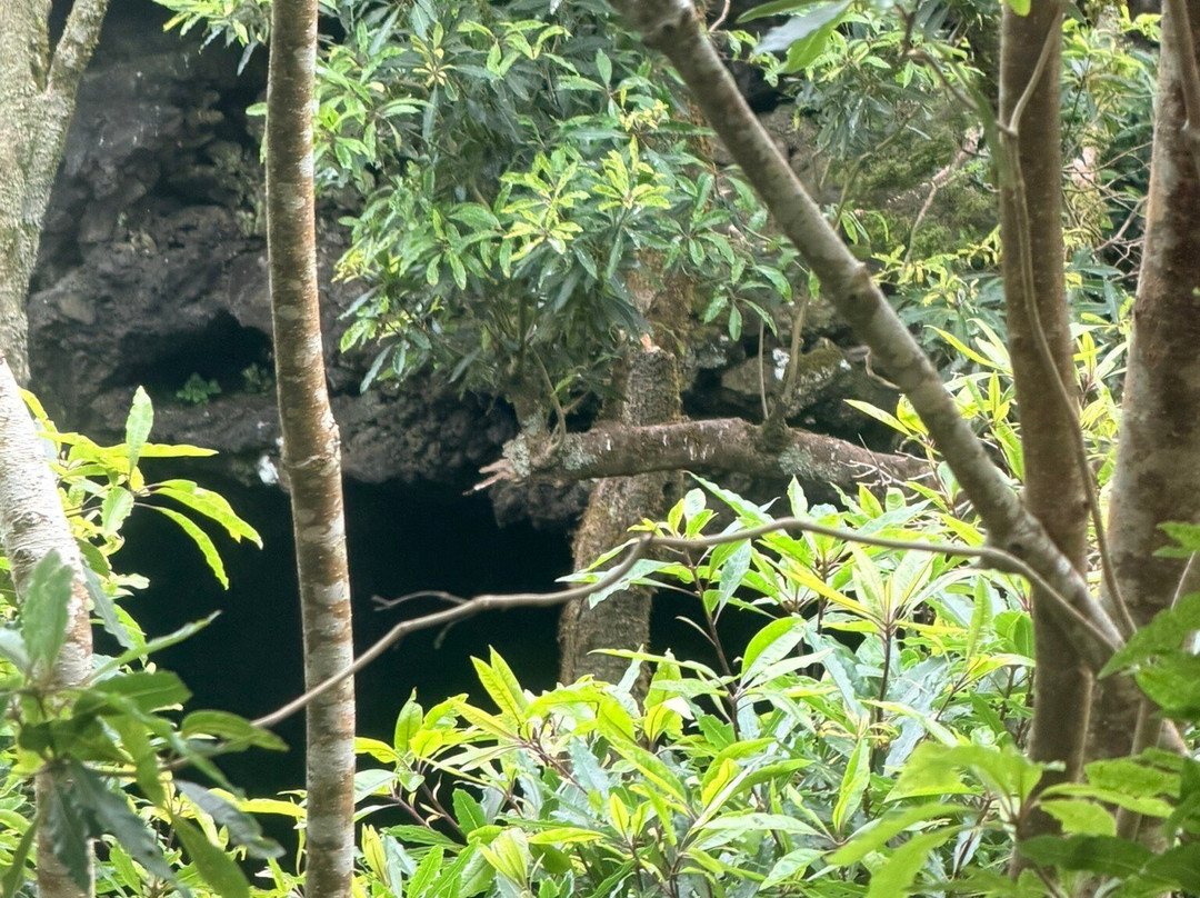 Gruta das Torres-Pico必去景点