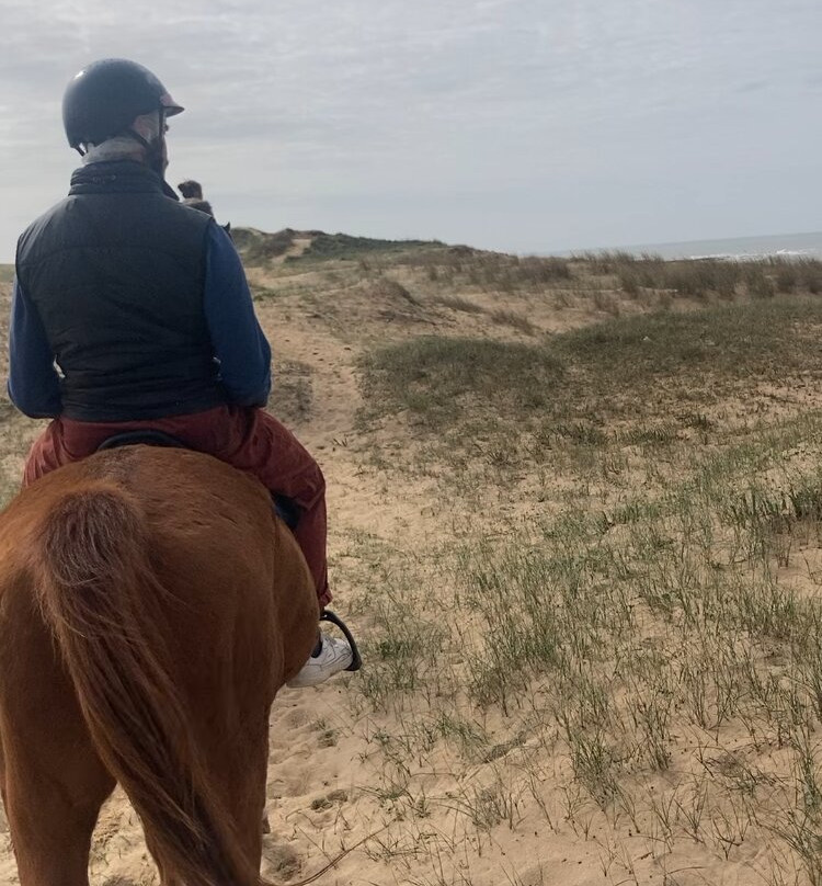 Les Ecuries de la Sauzaie-Bretignolles Sur Mer必去景点