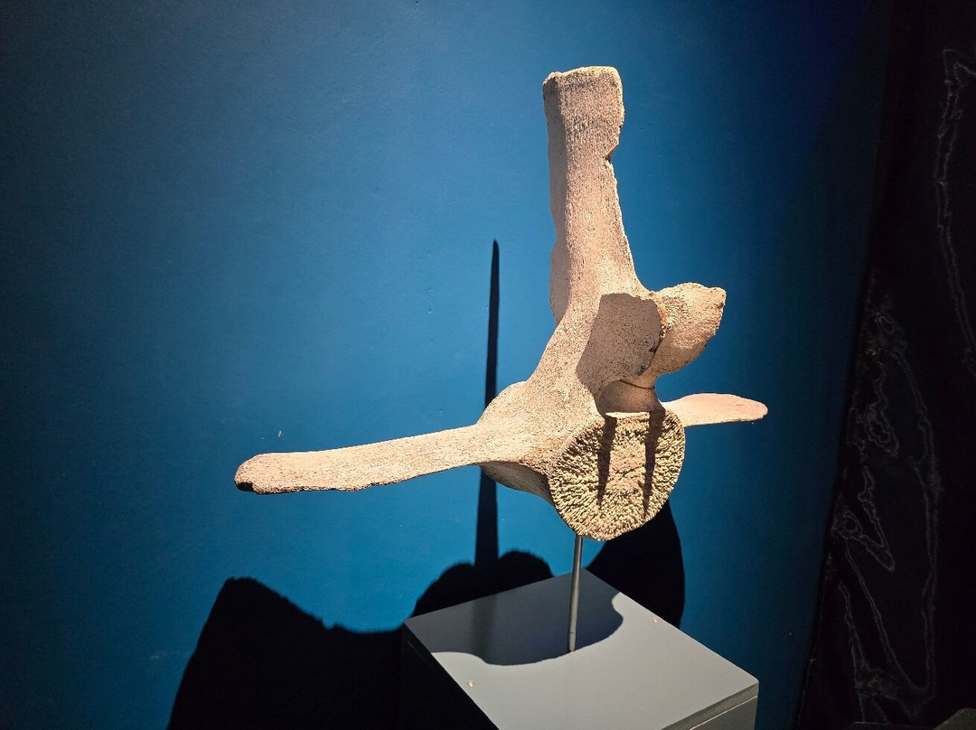 Curaçao Interactive Experience-威廉斯塔德必去景点