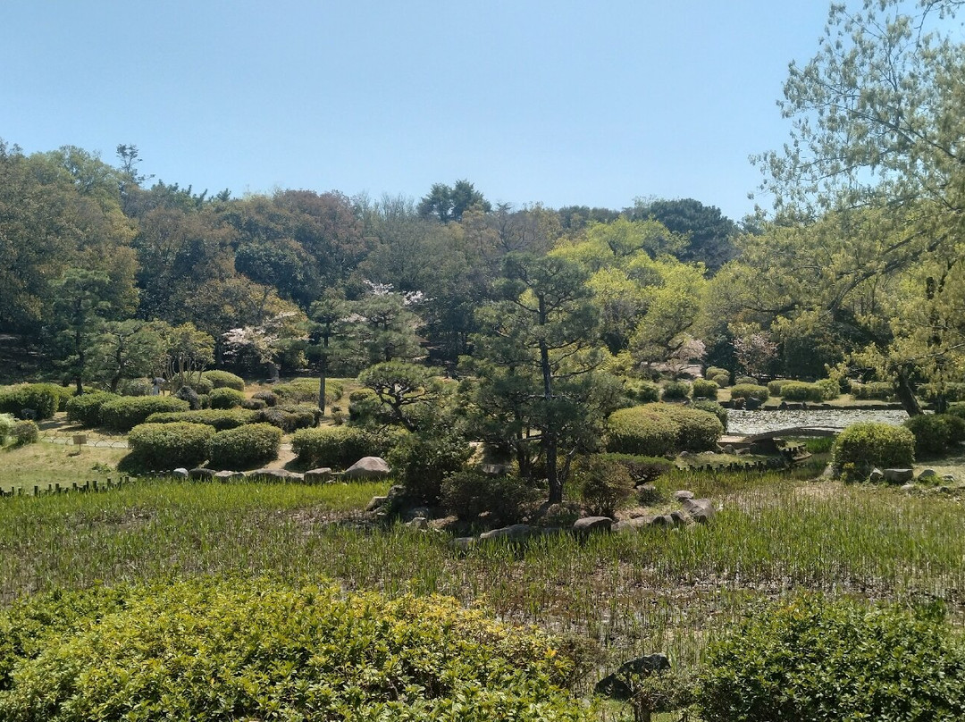 Hattori Ryokuchi Park-丰中市必去景点