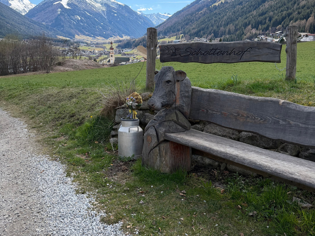 素藤霍夫农家乐主图