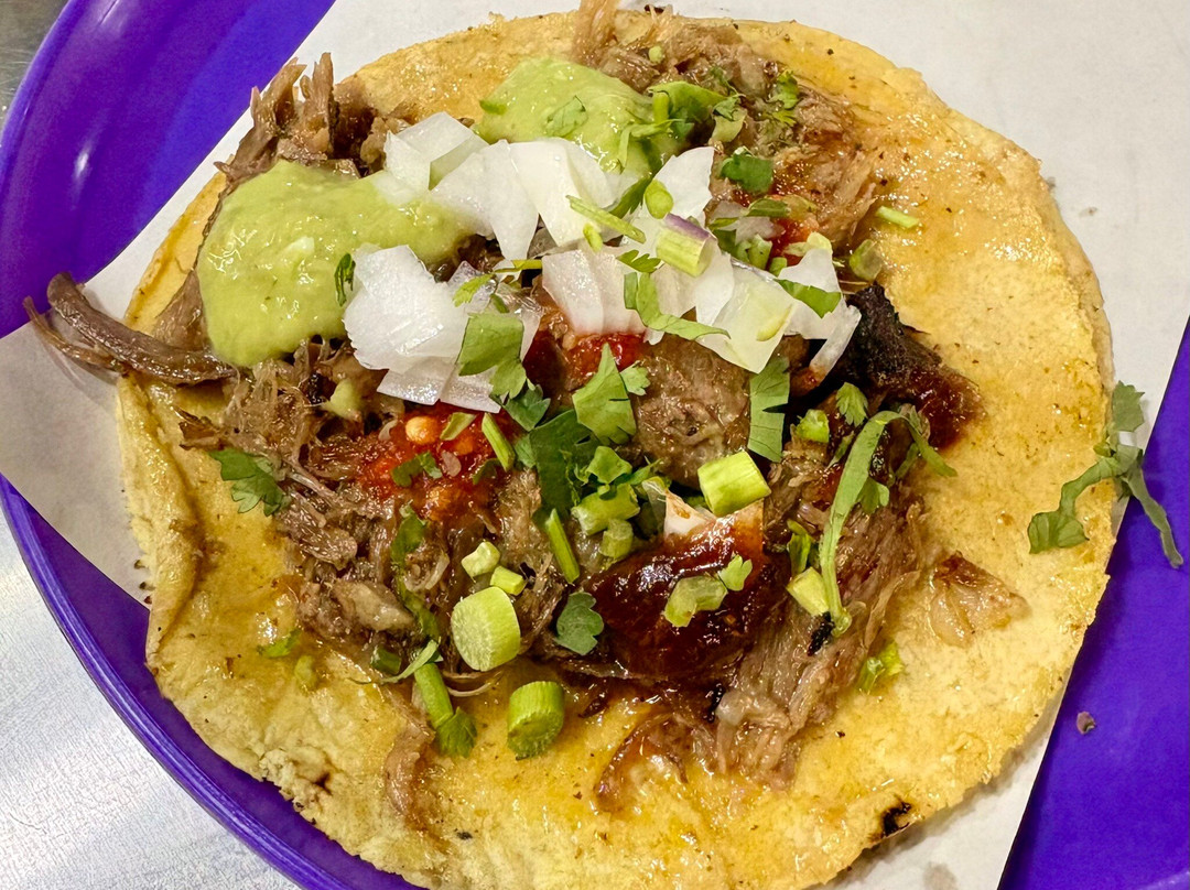 Eat Mexico Culinary Tours-墨西哥城必去景点