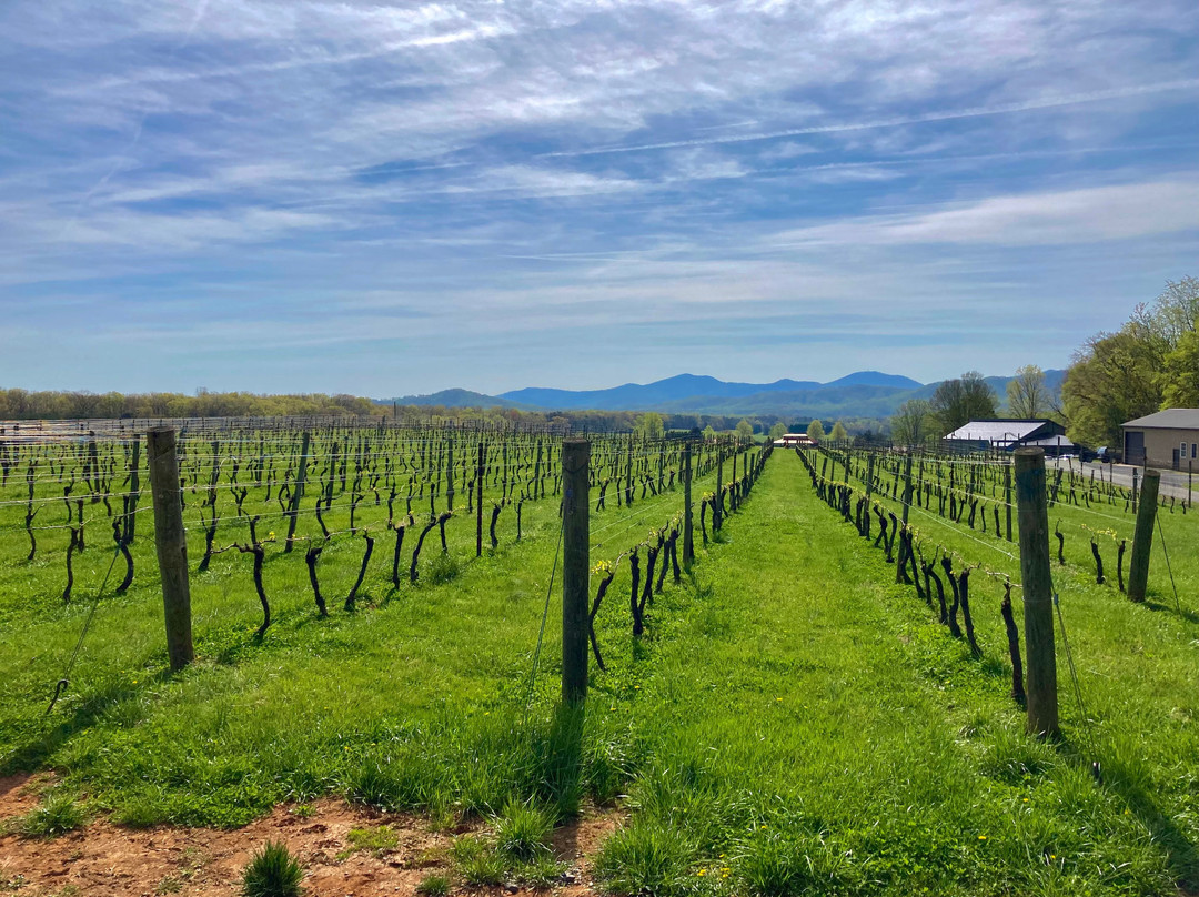 Afton Mountain Vineyards-Afton必去景点