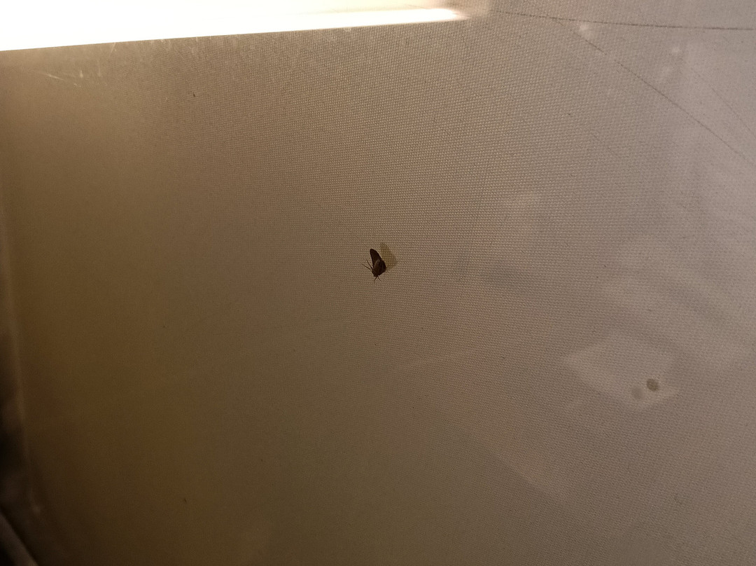 昌迪加尔吉拉克普尔温德姆华美达广场酒店主图