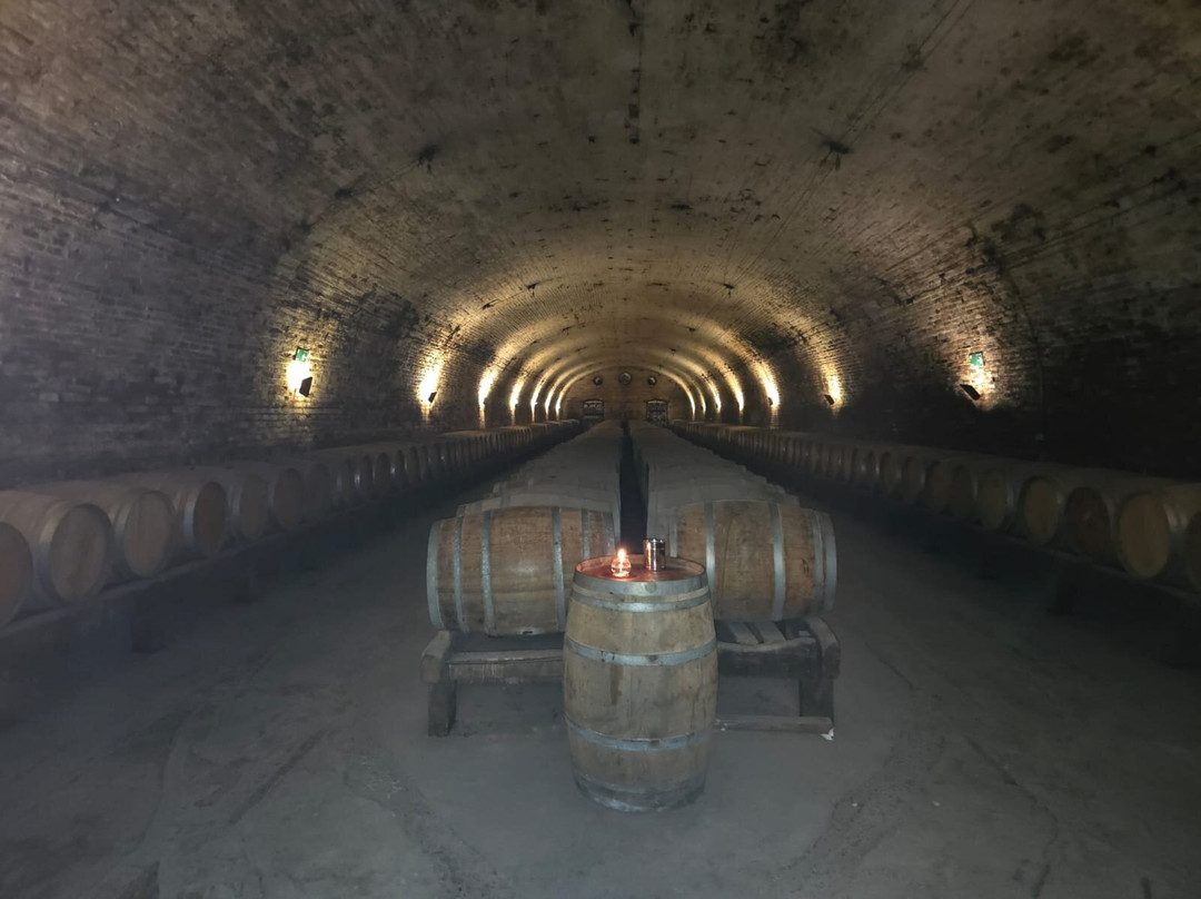 Vina Santa Carolina-圣地亚哥必去景点