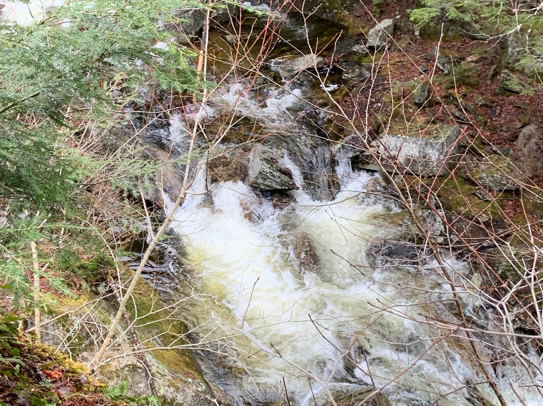 Grafton Notch State Park-贝塞尔必去景点