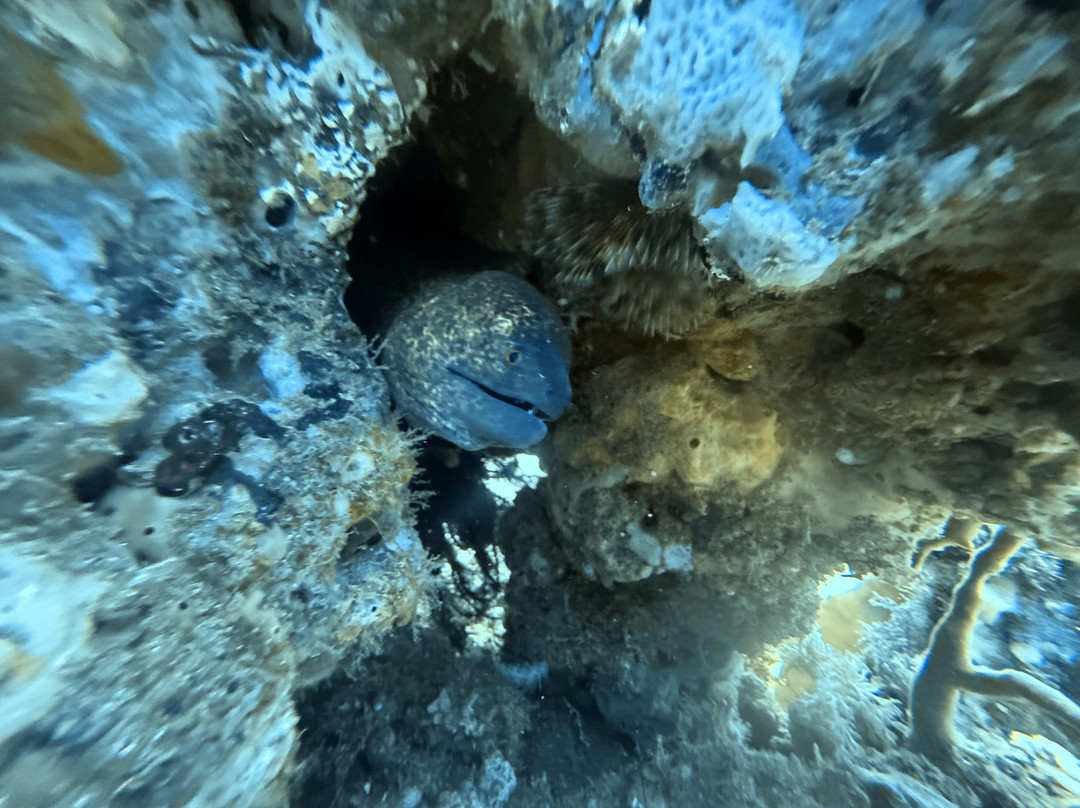 Aiyanar Beach and Dive Resort主图