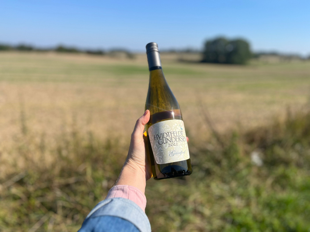 Hideaway Vingard-Vesterby必去景点