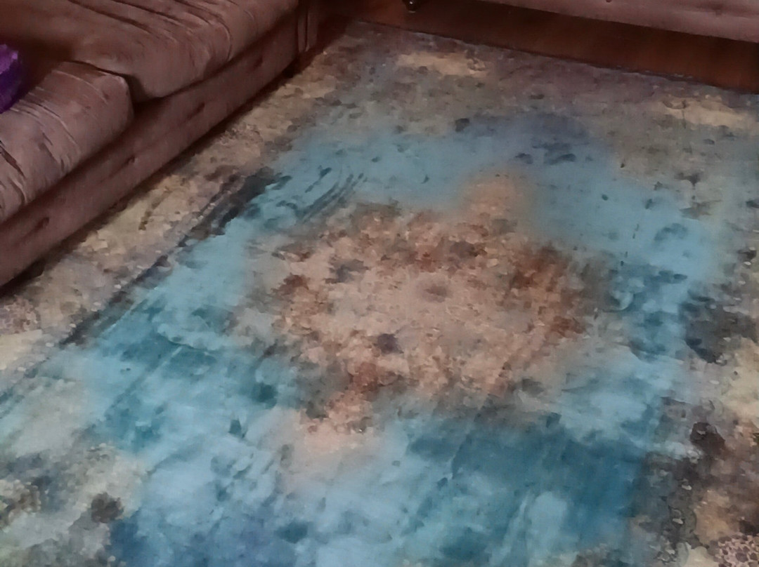 Vintage Sofa Co-哈里法克斯必去景点