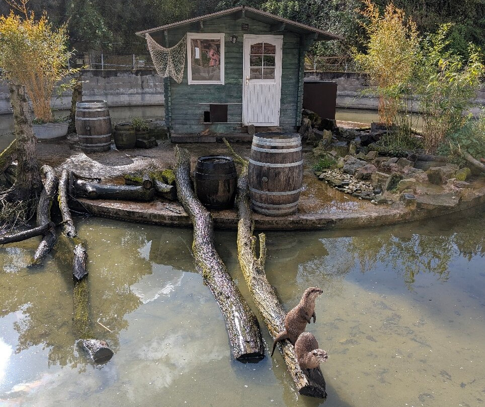 Grimpinger Hof-Olfen必去景点