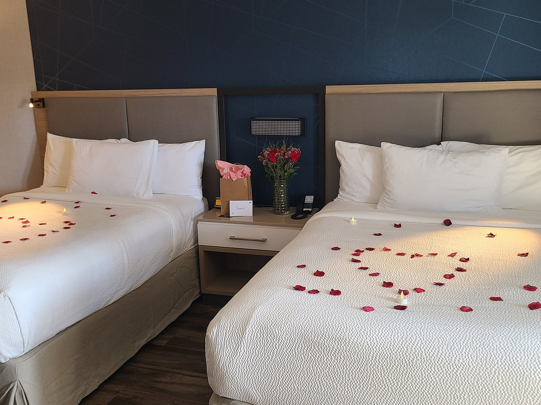 圣地亚哥卡尔斯巴德SpringHill Suites酒店主图