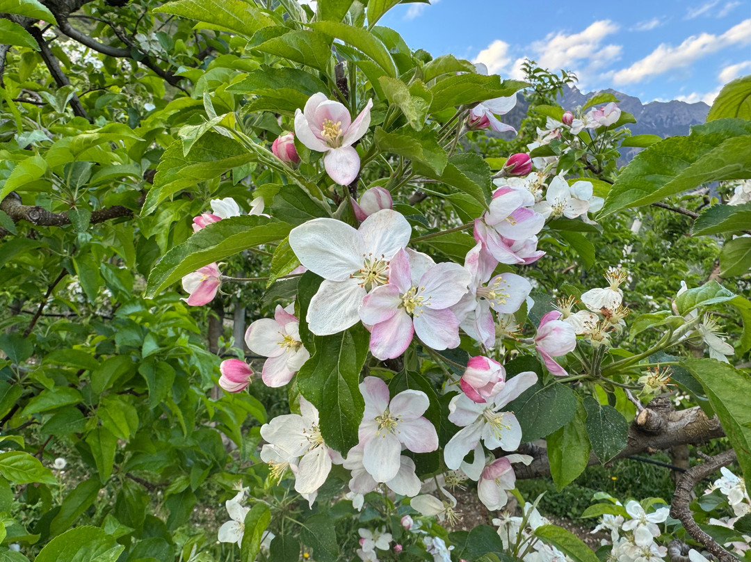 加尼维格赫布住宿加早餐旅馆主图