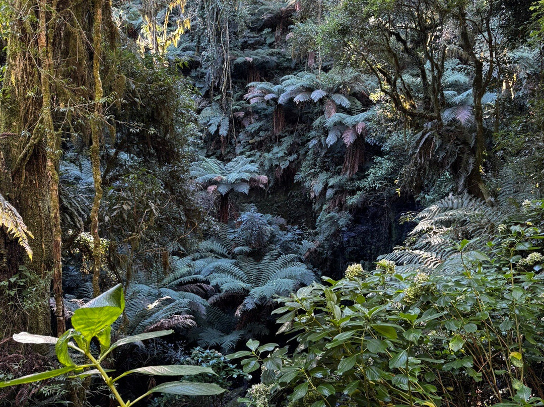 汉佩尔旅馆主图