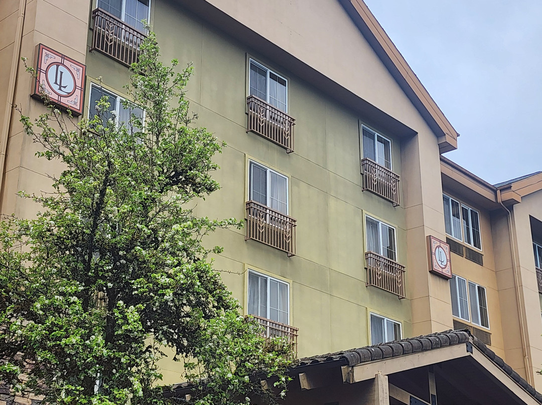 云杉登陆长住套房酒店贝尔维尤主图