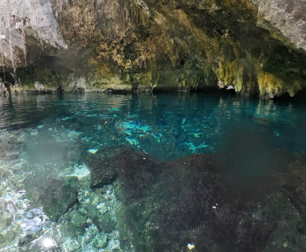Gran Cenote-图伦必去景点