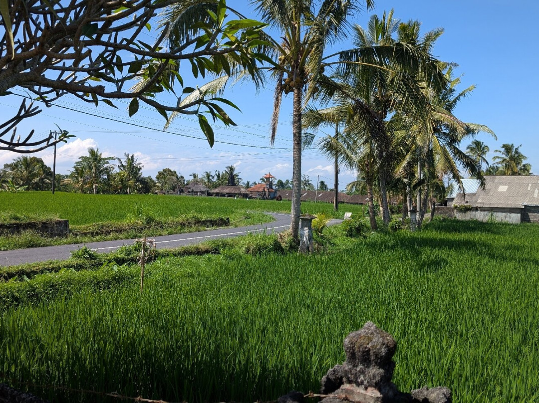 Jatiluwih Cycling & E-bike Tours With Bali By Pedals-达巴南必去景点