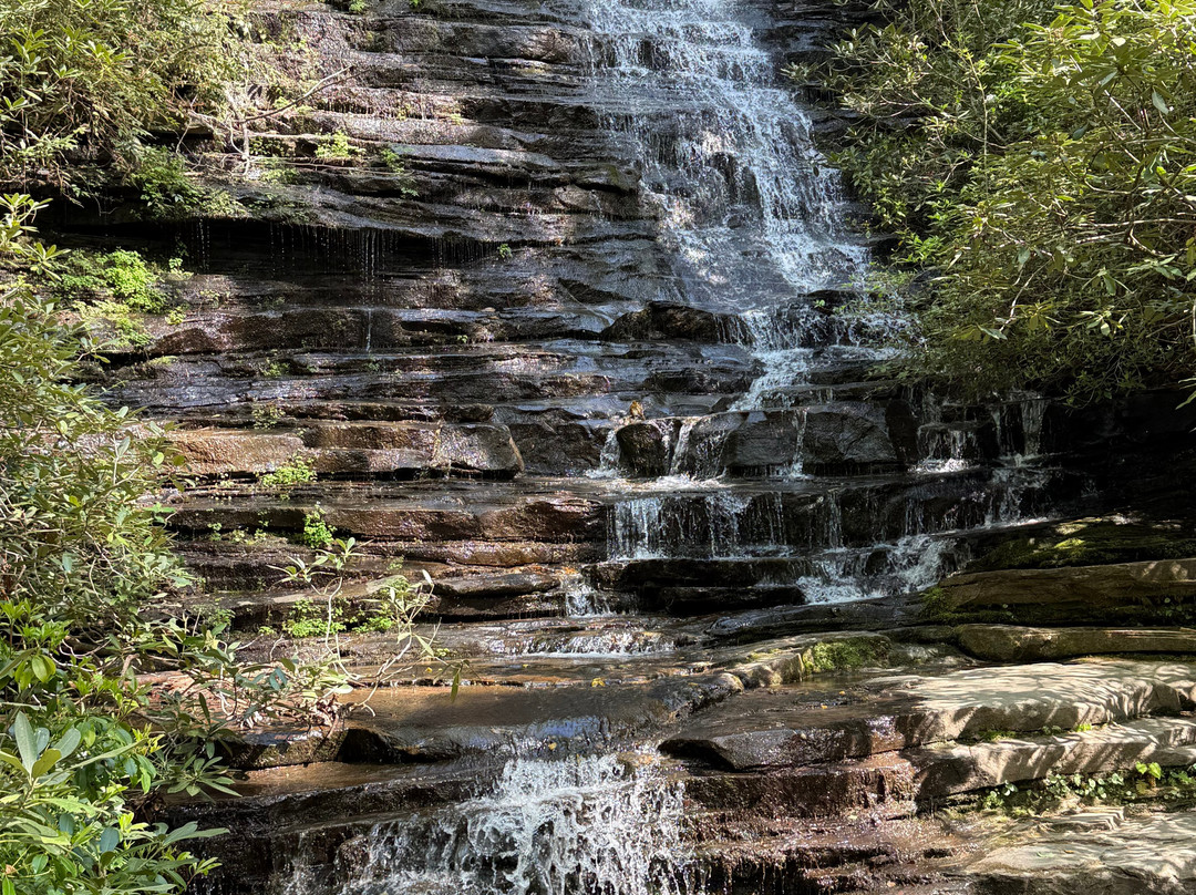 Angel Falls Trail-Lakemont必去景点