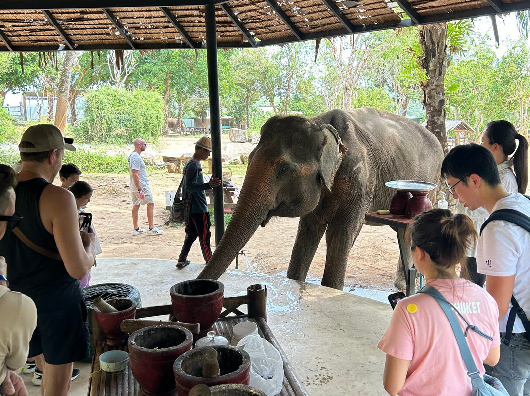 Phuket Elephant Nature Reserve-他朗必去景点
