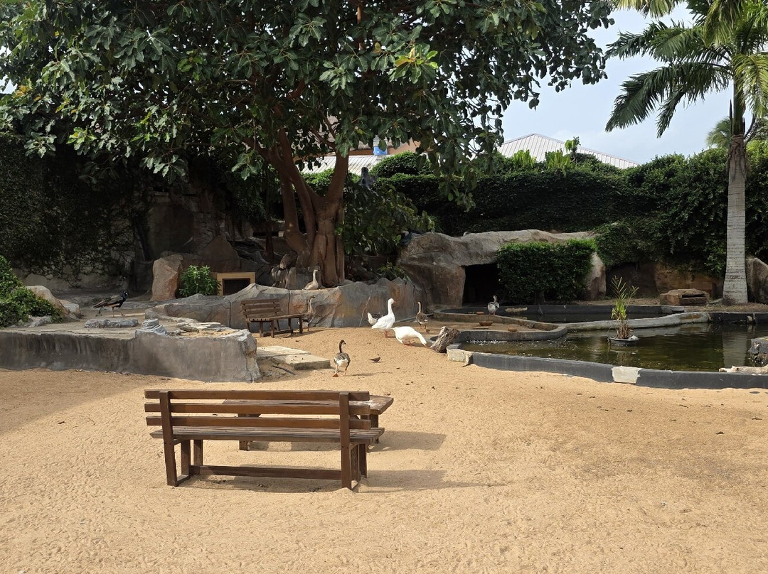 Aqua Safari Resort主图