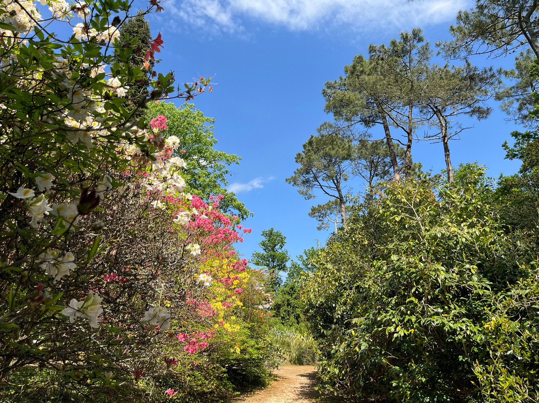 Parc Botanique de Cornouaille-孔布里必去景点