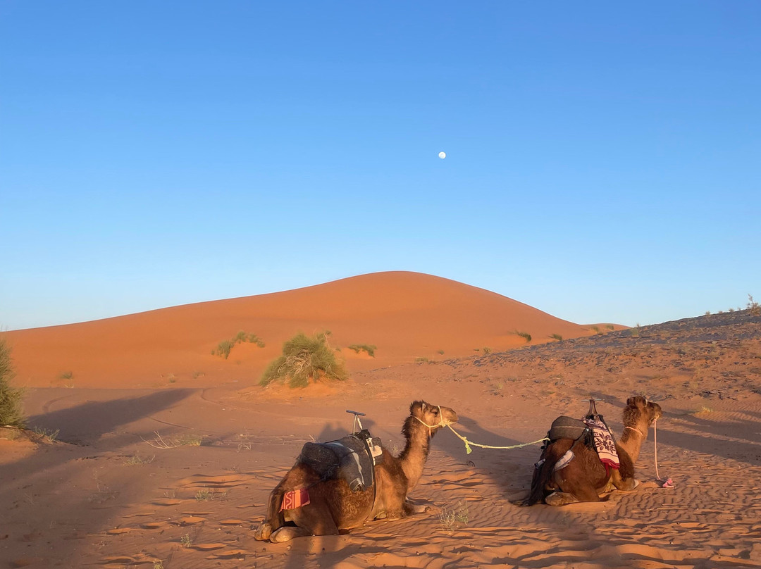 Marocco Trips-梅如卡必去景点