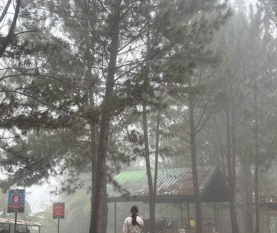 Dahilayan Adventure Park-Manolo Fortich必去景点
