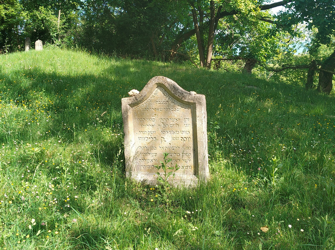 Antico Cimitero Ebraico di Conegliano-科内利亚诺必去景点
