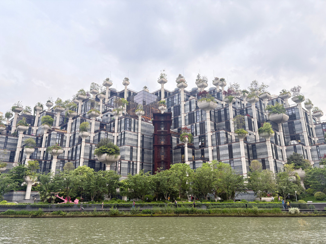 大洋晶典·天安千树