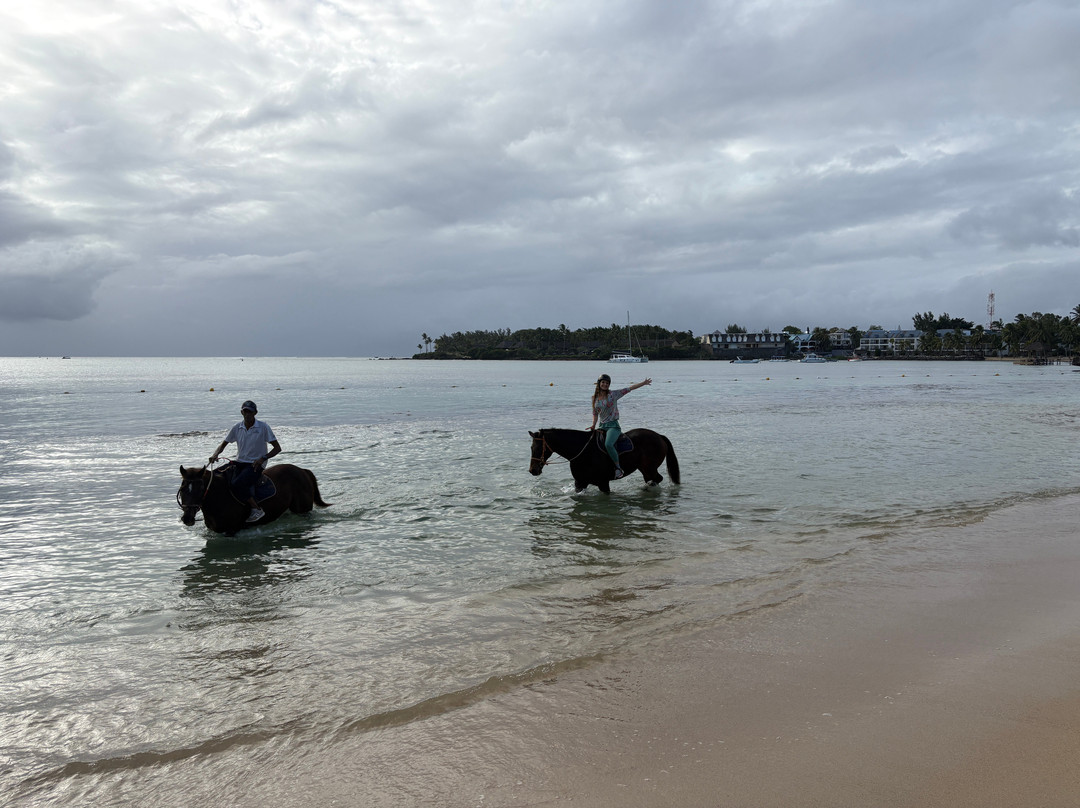 Maritim Equestrian Centre-巴拉克拉瓦必去景点