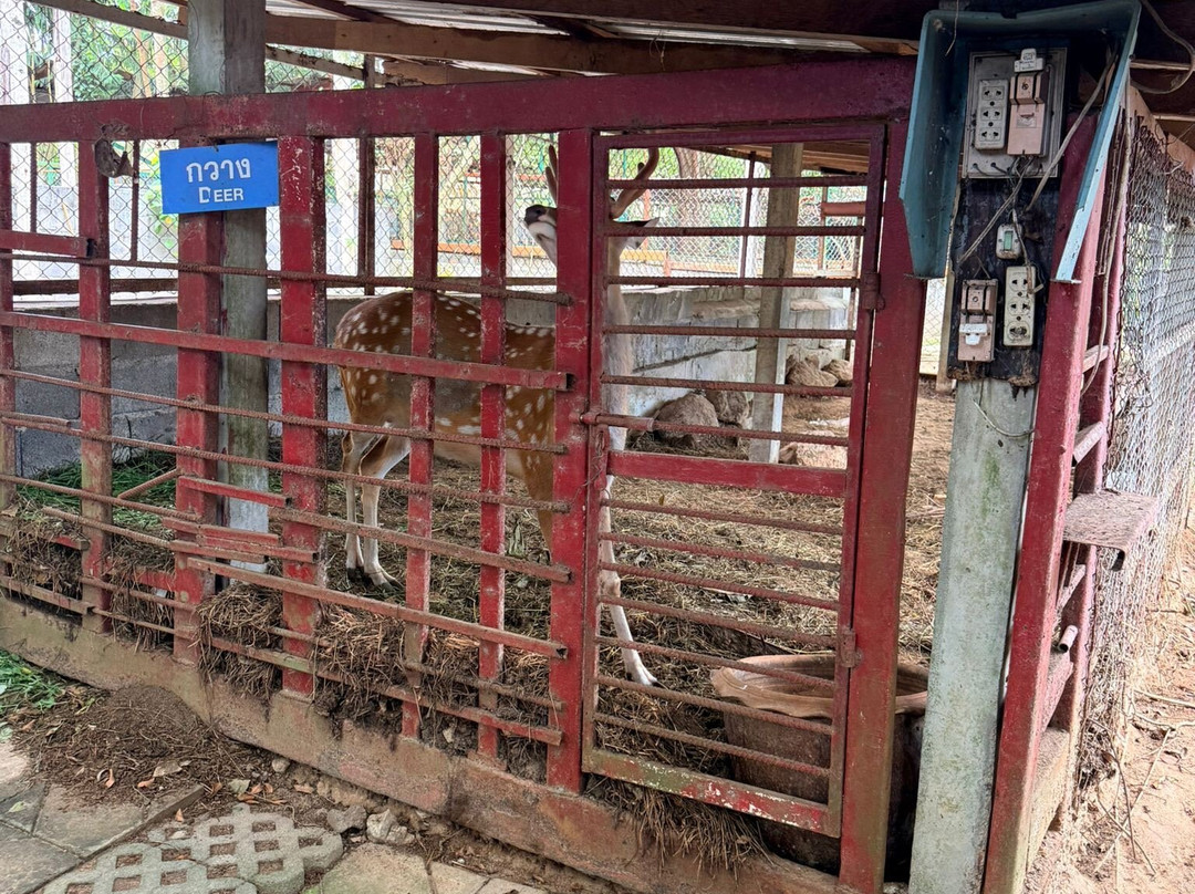 Samui Monkey Centre-利巴诺伊必去景点