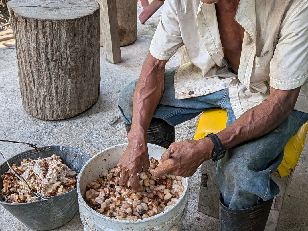 Eje Cafetero Ruta Campesina-Chinchina必去景点