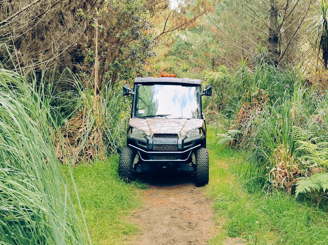 Dragon Rider Tours