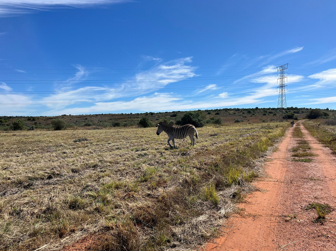 Groenkloof Nature Reserve-比勒陀利亚必去景点