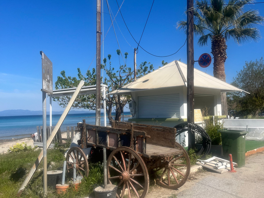 Afytos Beach-阿菲托斯必去景点