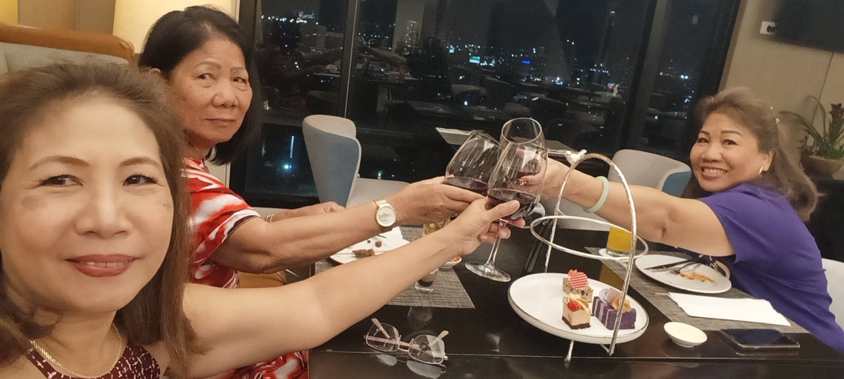 塞达维蒂斯北酒店-旅行者
