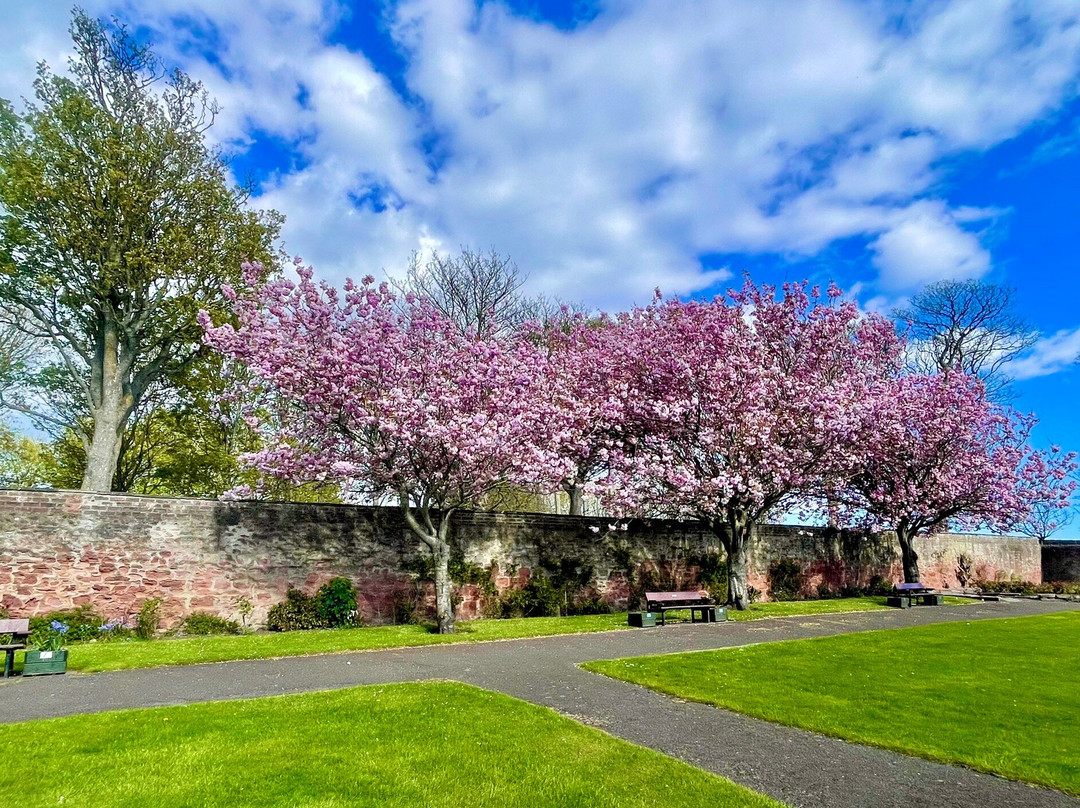 Springfield Rose Garden-Carmyllie必去景点