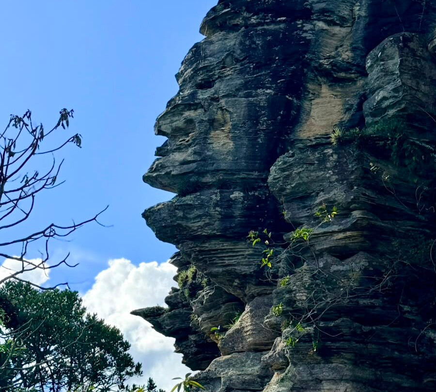 Carrancas Eco Adventure-Carrancas必去景点