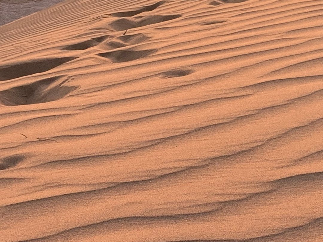 Loud Sahara Day Tours-扎古拉必去景点