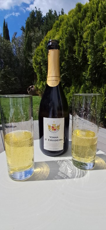马尔德尔阿克度托酒店-旅行者