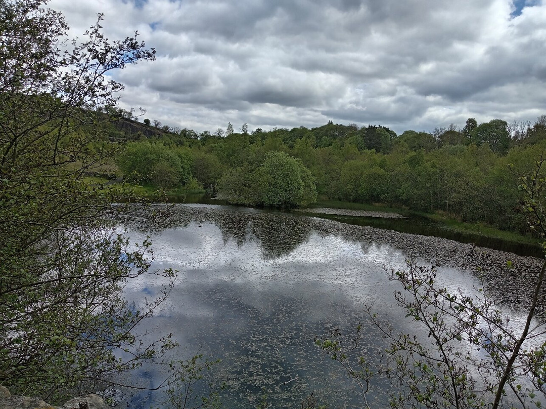 Walltown Country Park-Greenhead必去景点