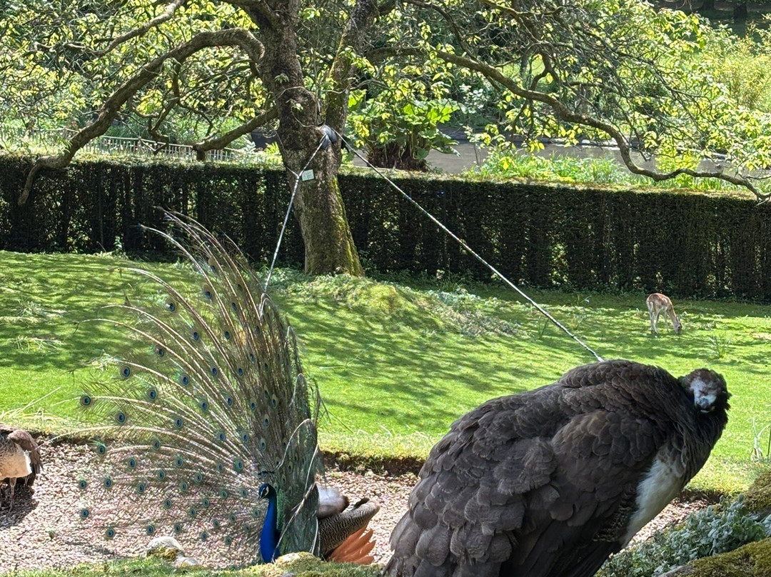 Le Parc de Clères-Cleres必去景点