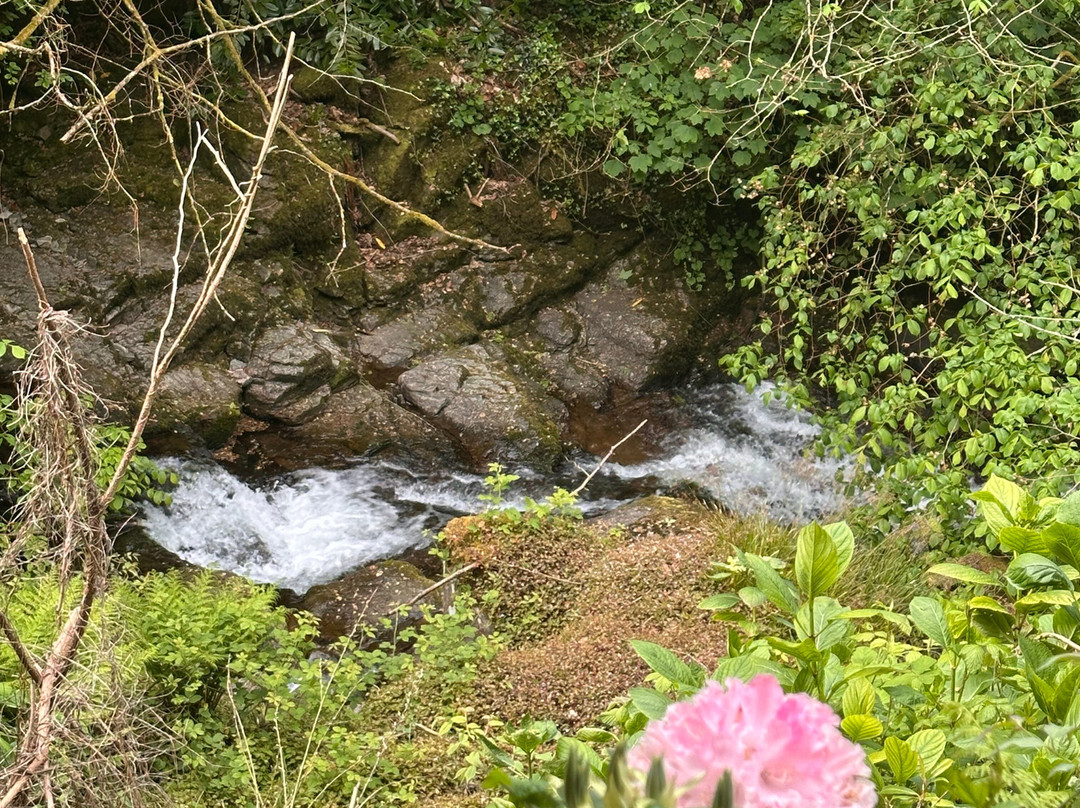 Glen Lyn Gorge-林茅斯必去景点