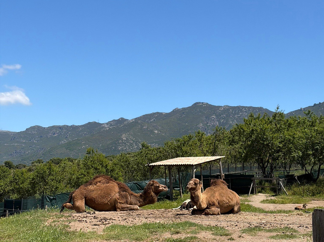 Corsica Zoo-Olmeta di Tuda必去景点